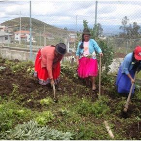Bolivia-Proyecto_Huertos.jpg