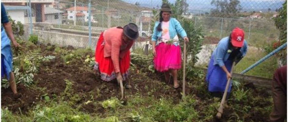 Bolivia-Proyecto_Huertos.jpg