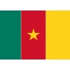 bandera-camerun